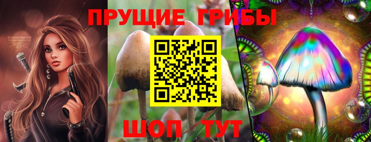 Псилоцибиновые грибы ЛСД Канаш