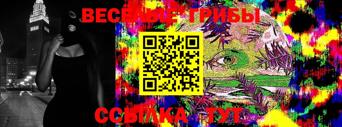 Псилоцибиновые грибы прущие грибы  как найти закладки  Канаш  Вход с VPN 
